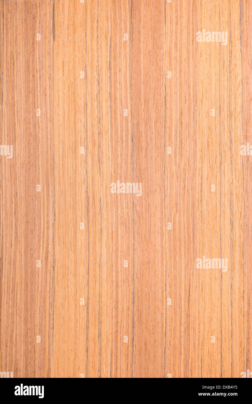 Teak Holz Furnier, Baum-Hintergrund Stockfoto