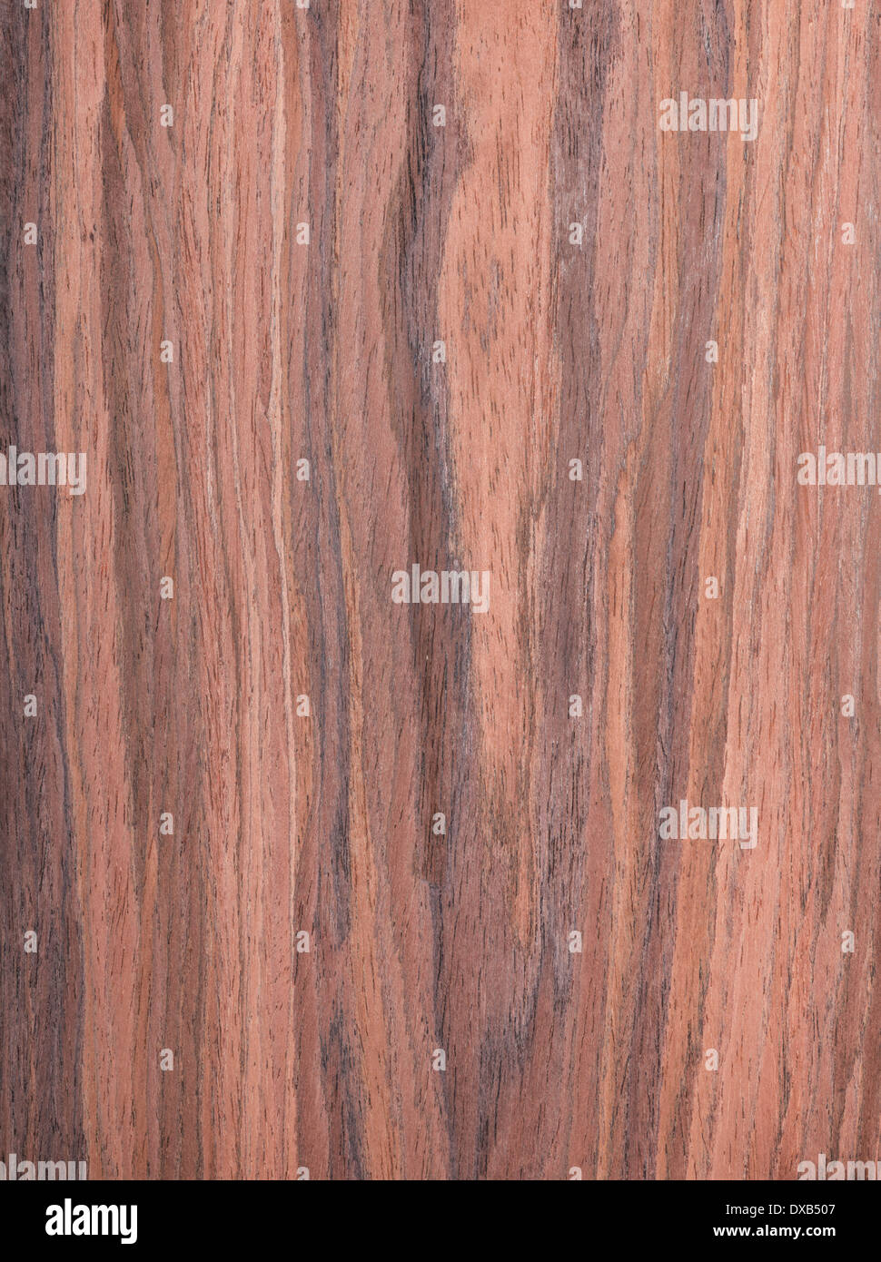 Nussbaum, Holz Maserung, Baum-Hintergrund Stockfoto