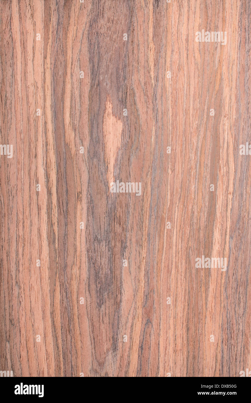 Walnuss Holzmaserung, Baum-Hintergrund Stockfoto