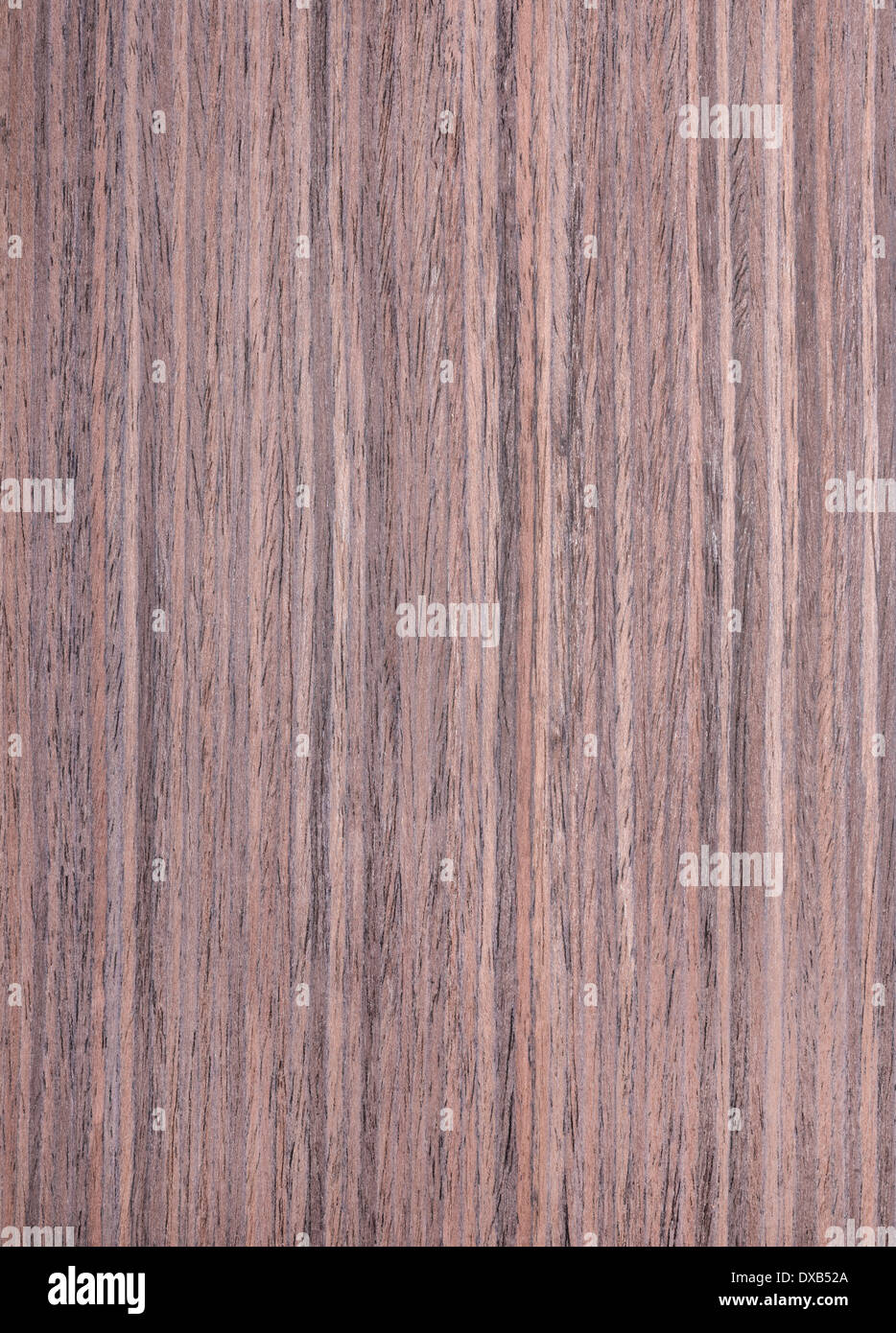 Textur Palisander, hölzernen Hintergrund Stockfoto