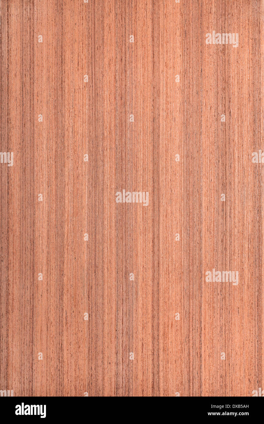Muji Holzmaserung, Baum-Hintergrund Stockfoto
