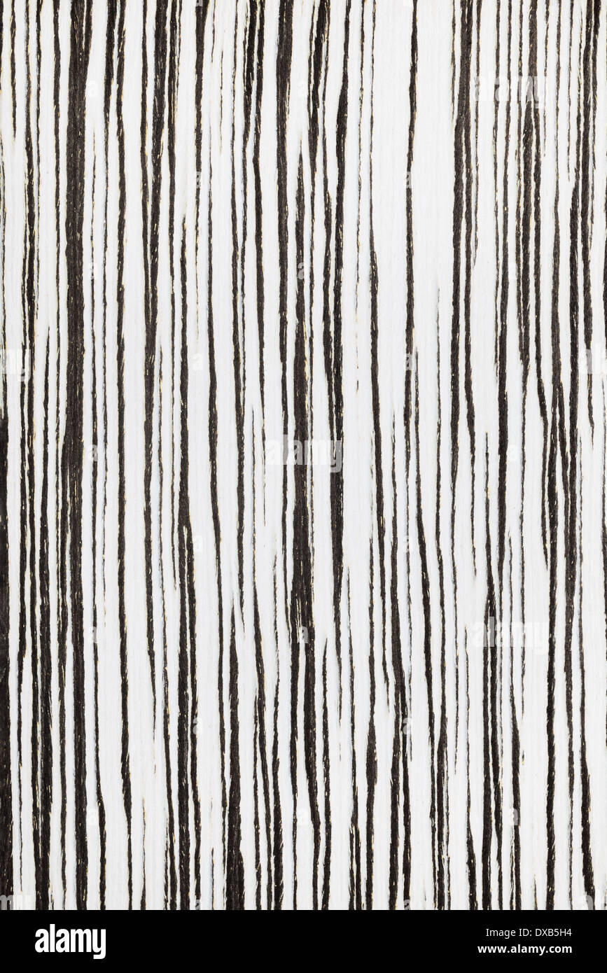 gestreifte Textur von Zebrano Holz Hintergrund Stockfoto