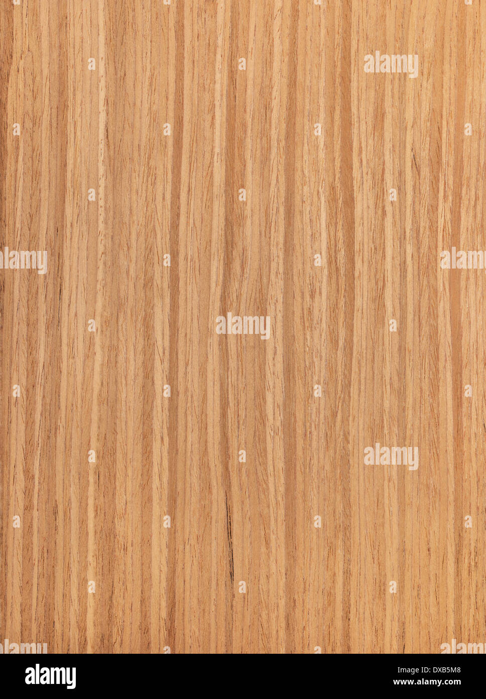 Eiche Holz Textur, Holzmaserung Stockfoto