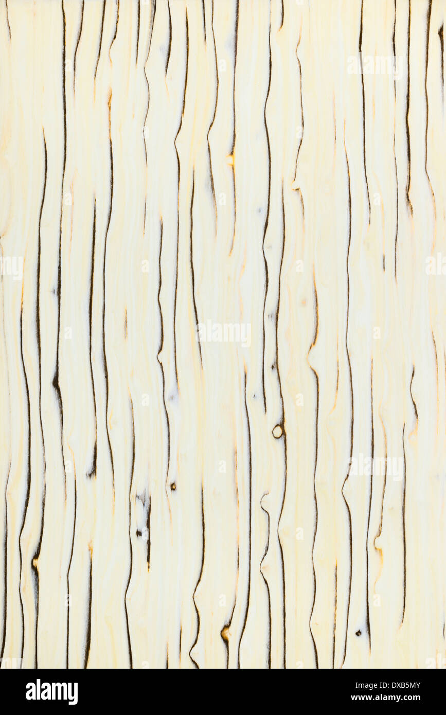 Holzmaserung, Eis Baum ländlichen Baum Hintergrund Stockfoto