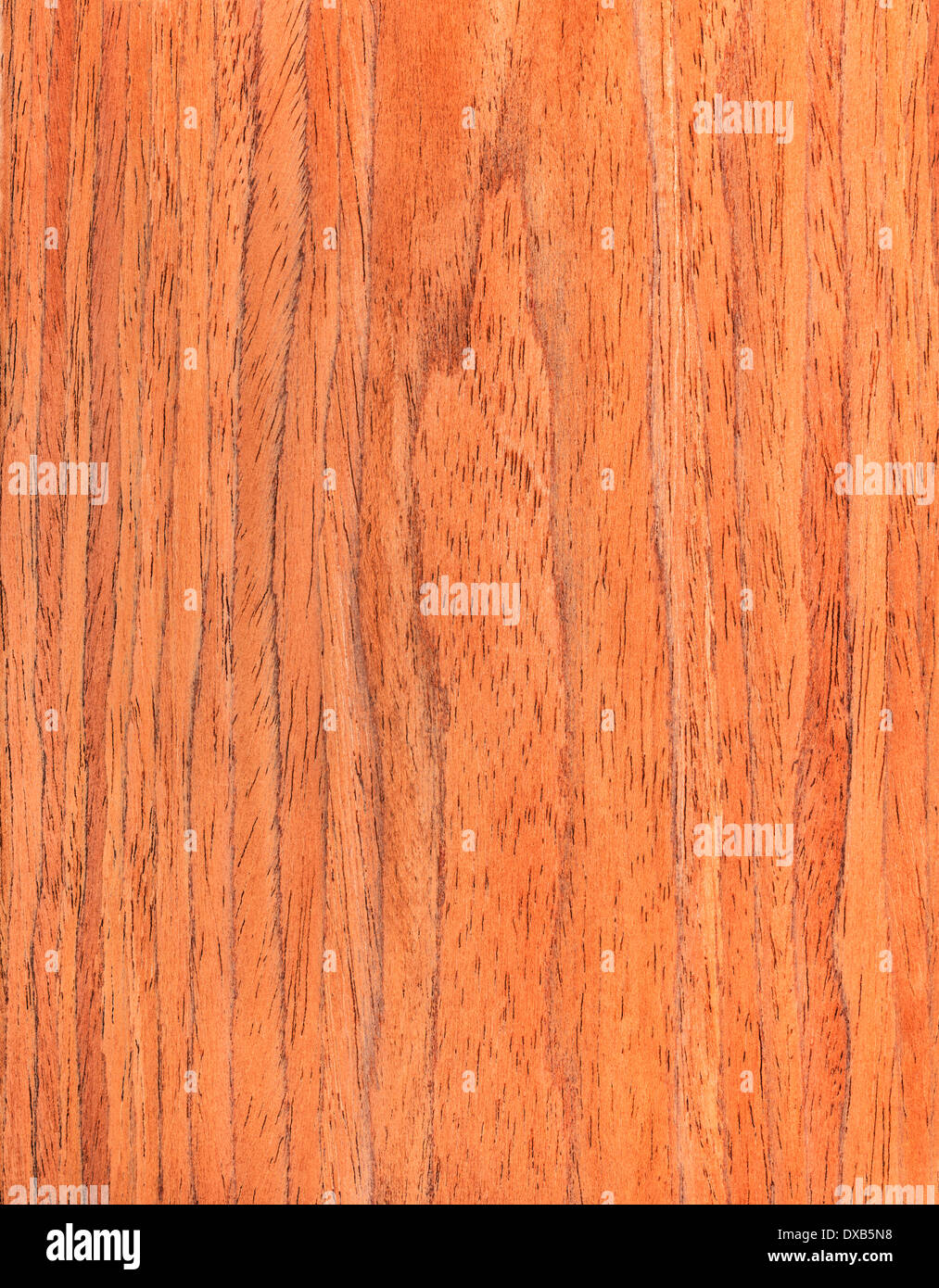Walnuss Holz Textur, Holzmaserung Hintergrund Stockfoto