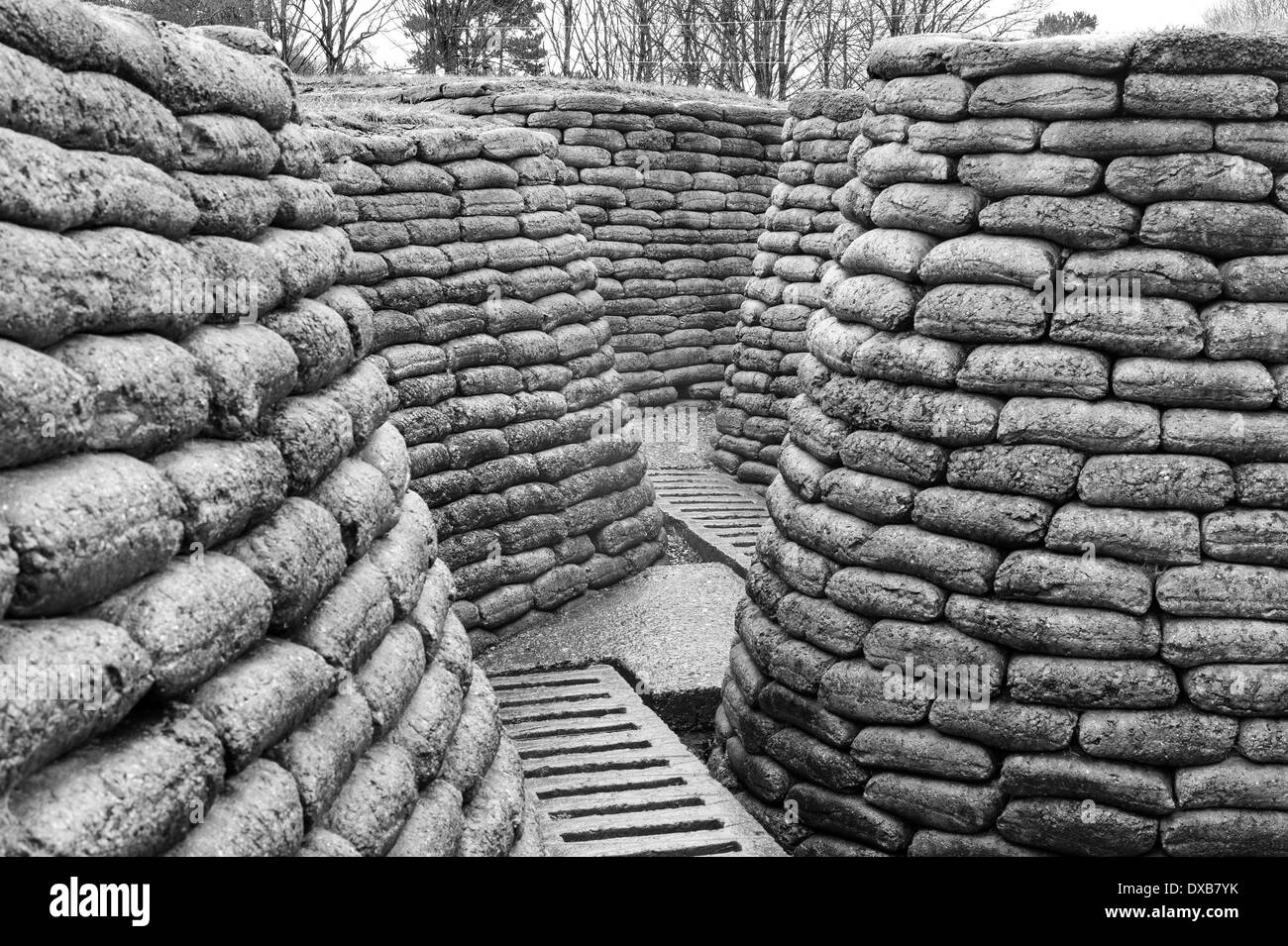 Rekonstruierten kanadische WW1 Gräben bei Vimy Ridge, in der Nähe von Arras, Nord-Frankreich. Stockfoto