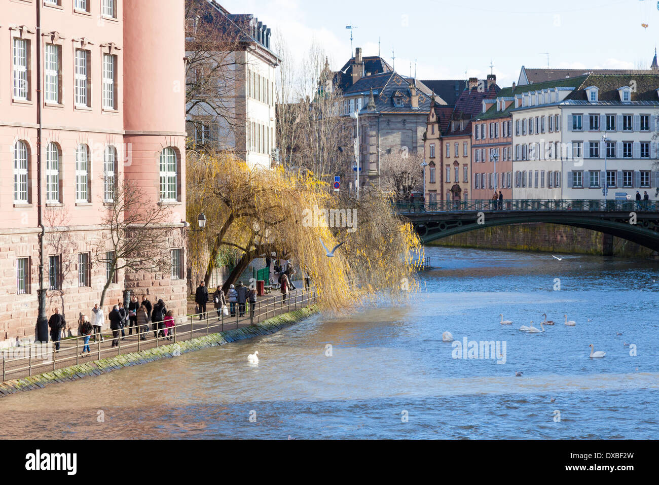 Menschen zu Fuß entlang der Fluss Ill, Straßburg, Frankreich Stockfoto