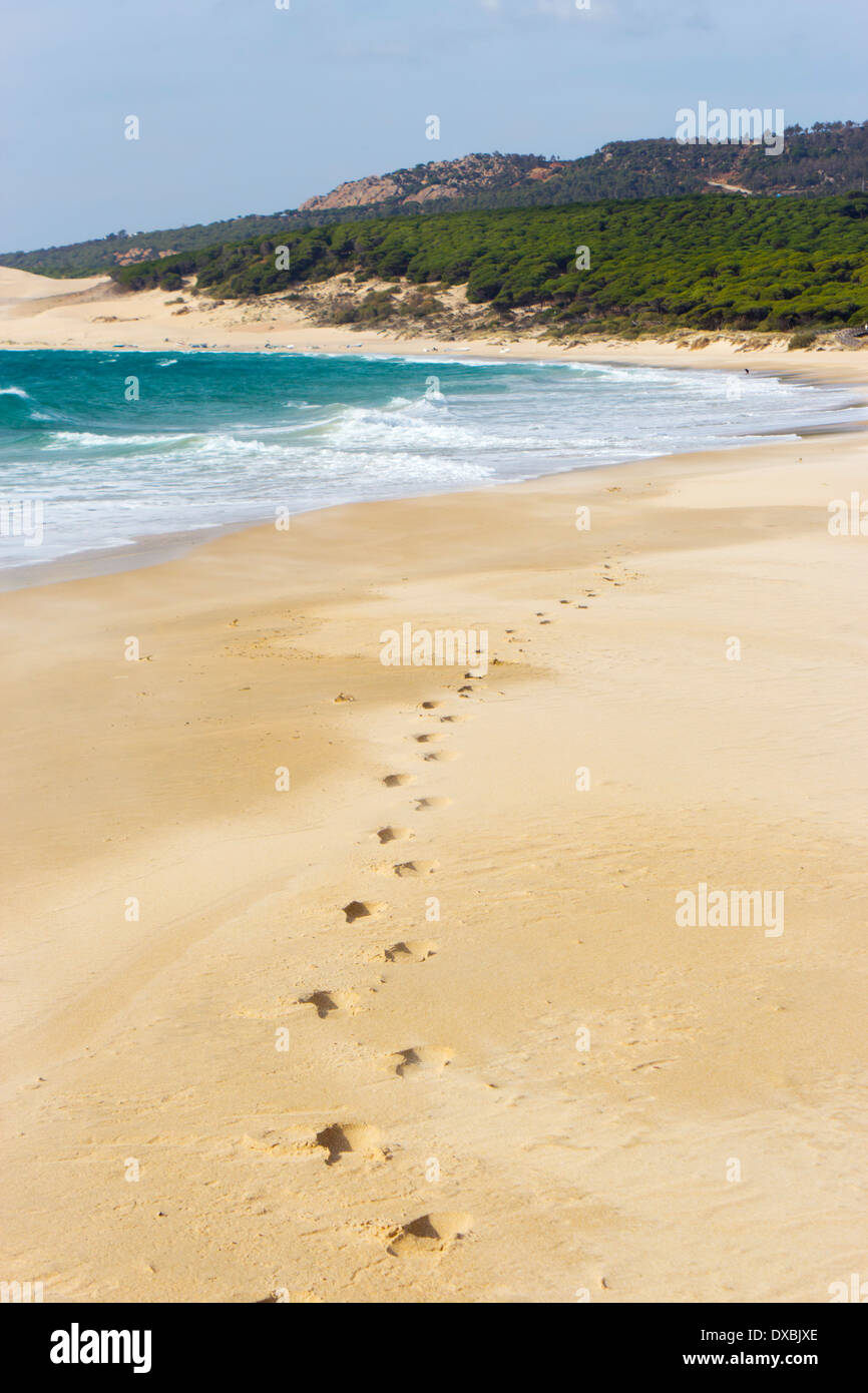 Bolonia Beach, Tarifa, Cadiz Provinz, Costa De La Luz, Andalusien, Spanien Stockfoto
