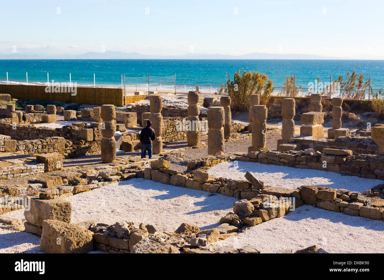 Die Ruinen von Baelo Claudia, Bolonia, Provinz Cádiz, Costa De La Luz, Andalusien, Spanien. Stockfoto