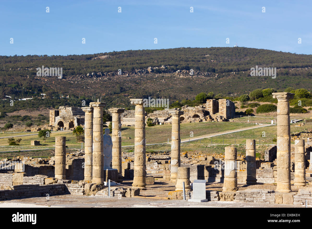 Die Ruinen von Baelo Claudia, Bolonia, Provinz Cádiz, Costa De La Luz, Andalusien, Spanien. Stockfoto