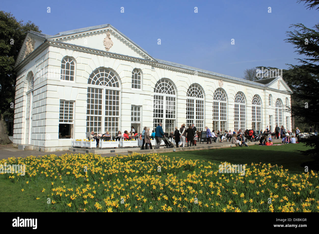 Die Orangerie Café bei Kew Gardens, London, England, UK Stockfoto