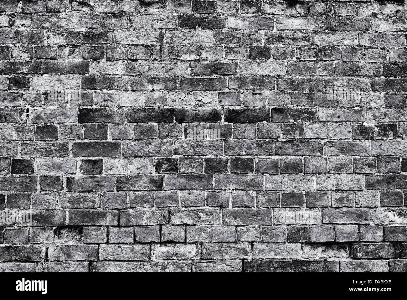 Alte Garten Mauer. Monochrom Stockfoto