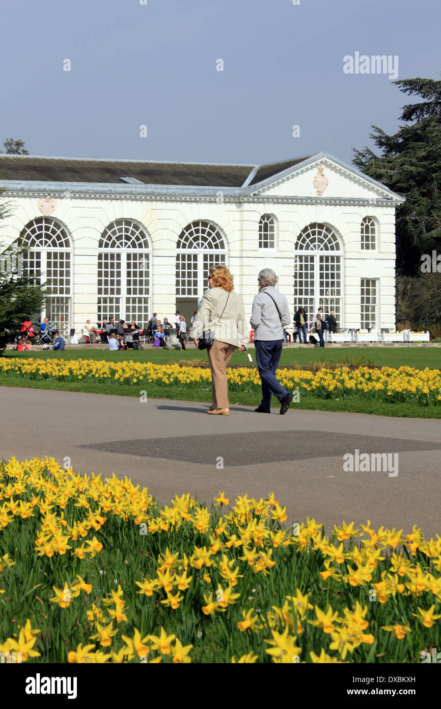 Die Orangerie Café bei Kew Gardens, London, England, UK Stockfoto