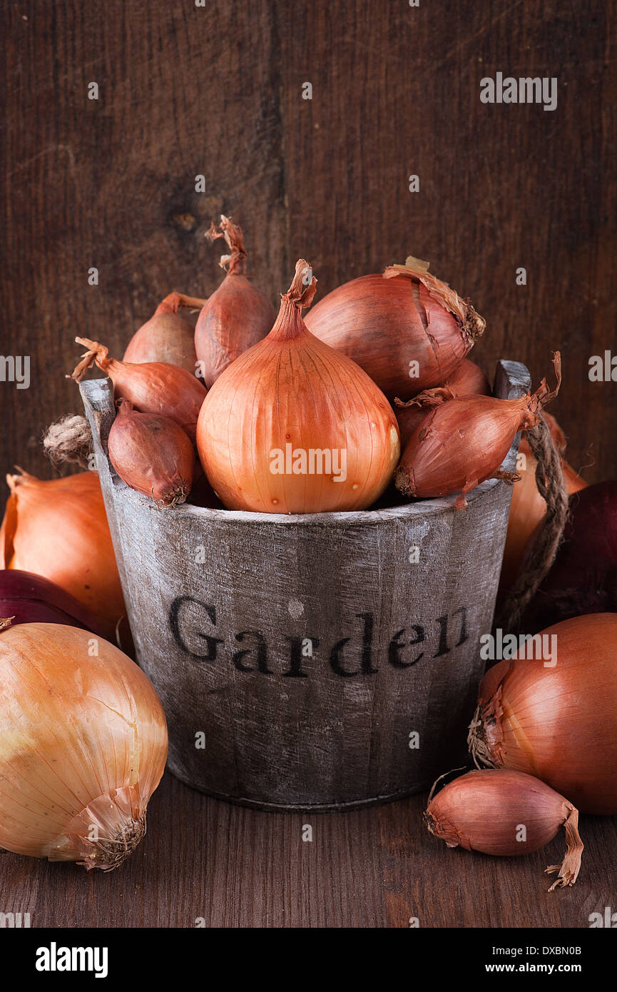 Satz von goldenen, roten Zwiebeln und Schalotten in einem Holzeimer Stockfoto