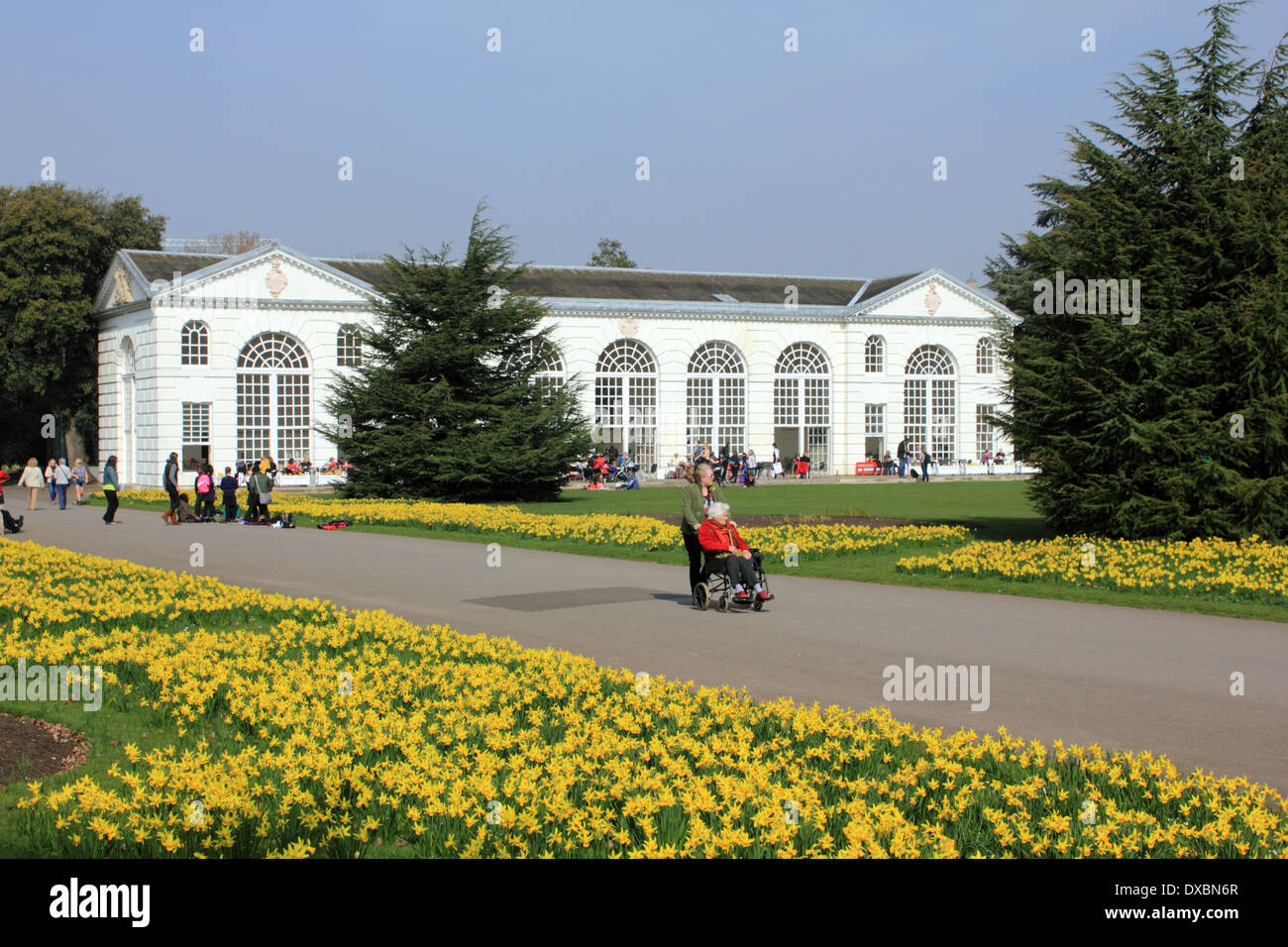 Die Orangerie Café bei Kew Gardens, London, England, UK Stockfoto