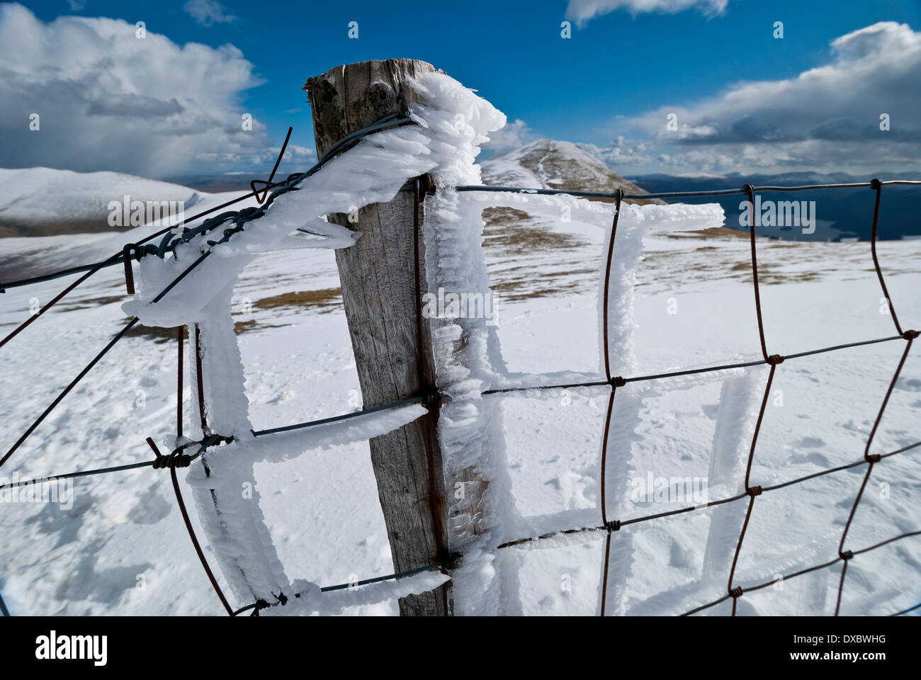 Zaun Wind verwehten eisbedeckt auf Skiddaw, Lake District Fjälls Stockfoto