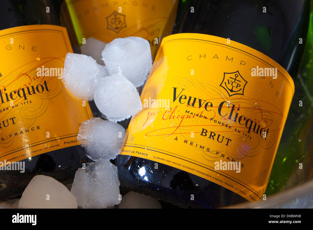 Veuve Clicquot Champagner auf Eis Stockfoto