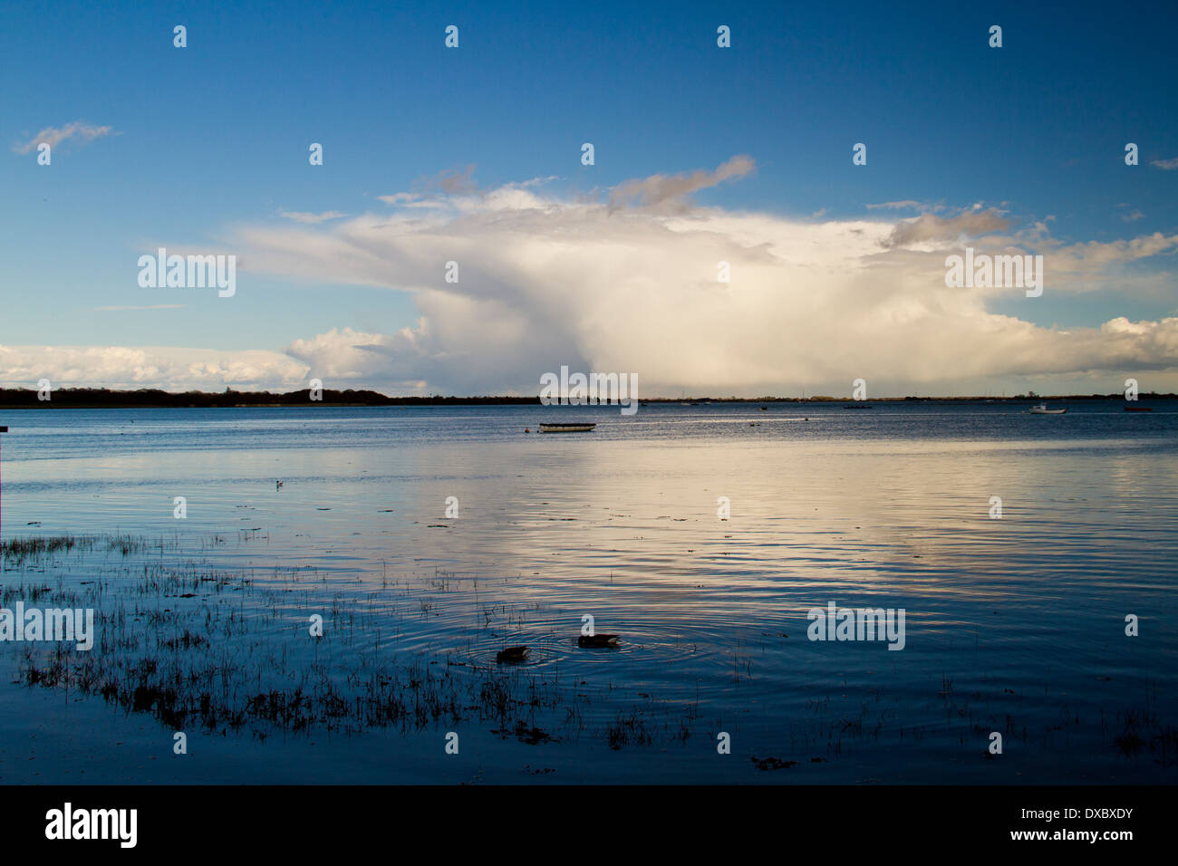 Langstone Hafen und Mühle Stockfoto