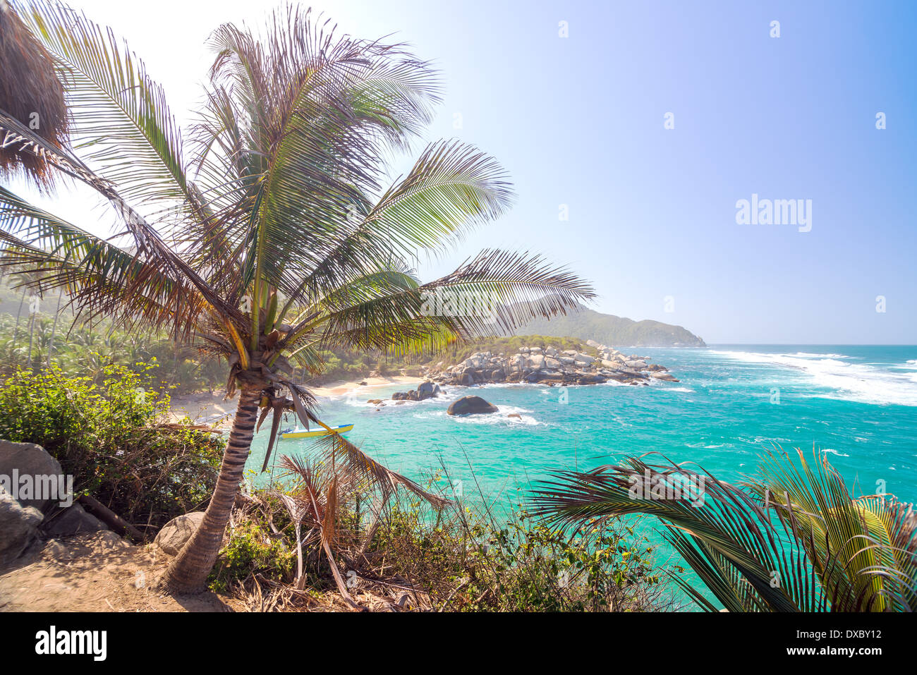 Blick auf eine Palme und eine Bucht mit schönen blauen Wasser im Tayrona Nationalpark in Kolumbien Stockfoto