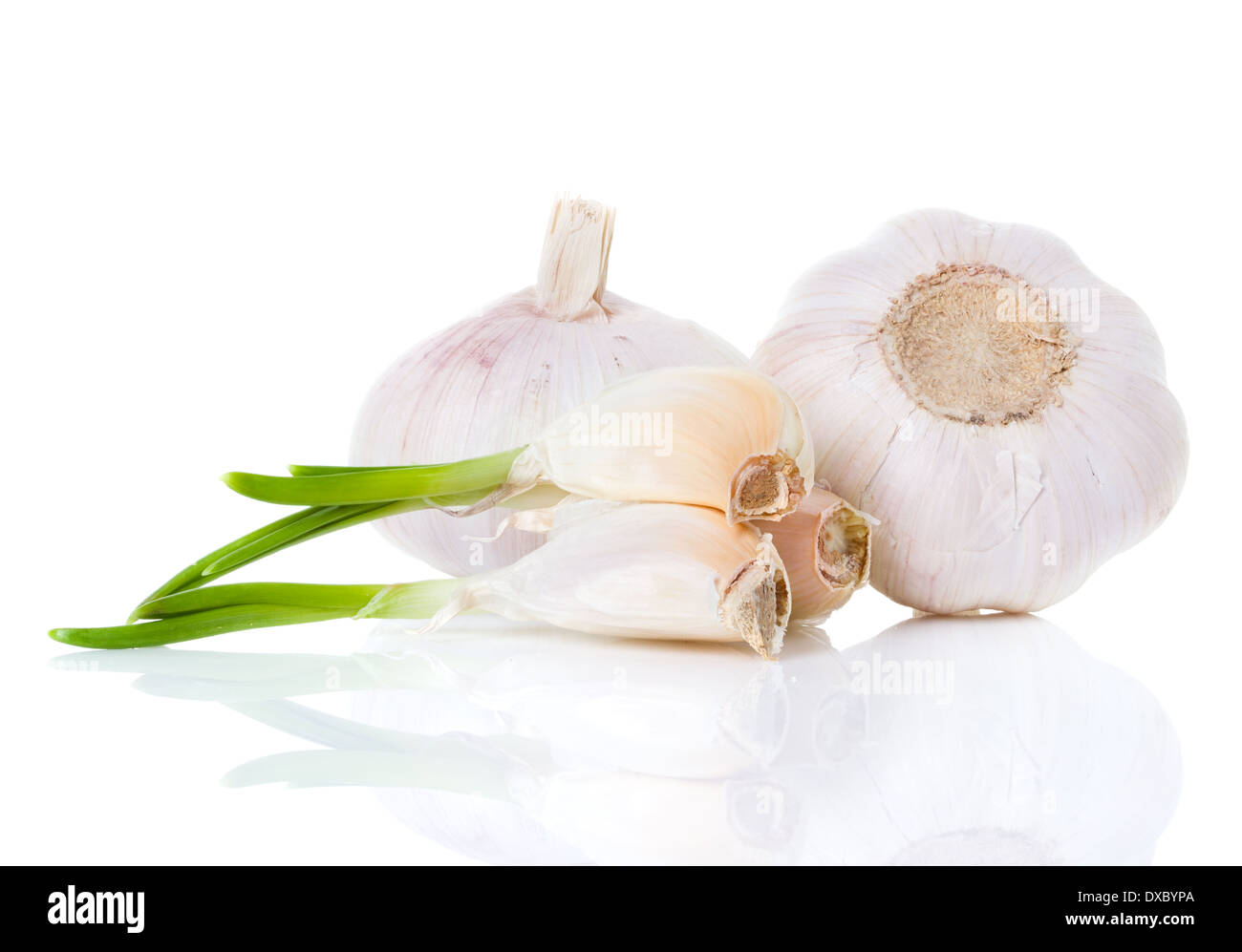 Knoblauch hautnah auf weißem Hintergrund Stockfoto