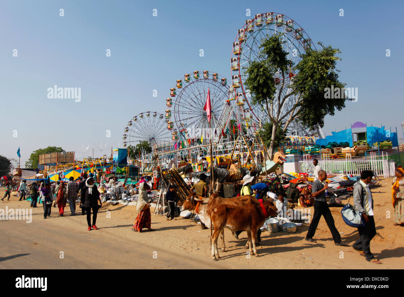 Eine Straße von Pushkar während der 'Camel Fair". Rajasthan, Indien. Stockfoto