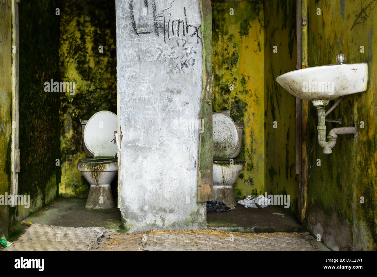 Eine verlassene öffentliche Toilette mit zwei weißen Keramiktoiletten, beide mit offenen Deckeln und sichtbar schmutzig, mit Schmutz und grünem Schimmel befleckt. Die Wände sind gelb gestrichen, aber stark mit grünem Moos bedeckt Stockfoto