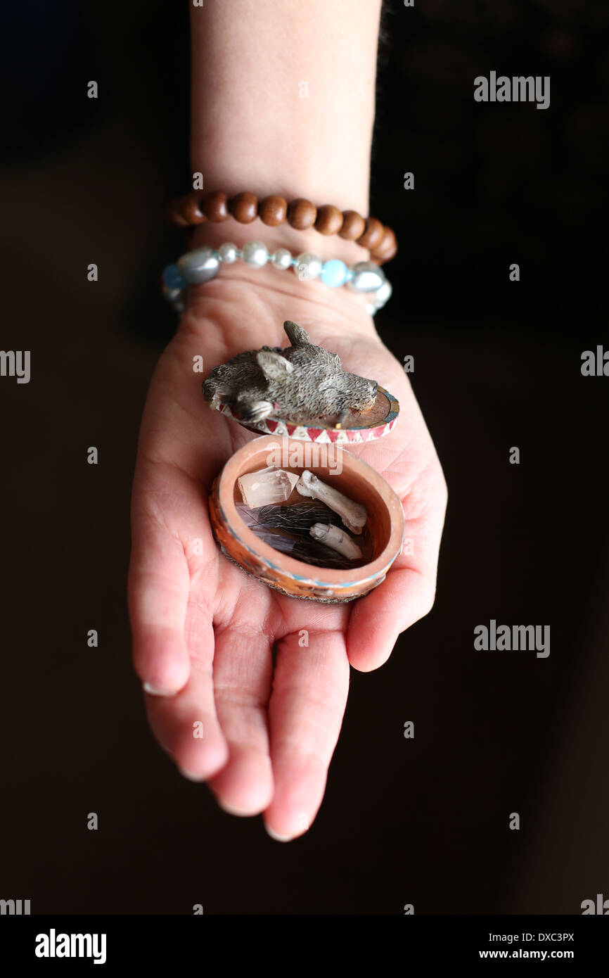 Eine Frau die Hand hält eine kleine box mit Knochen, Fell und Zahn. Stockfoto