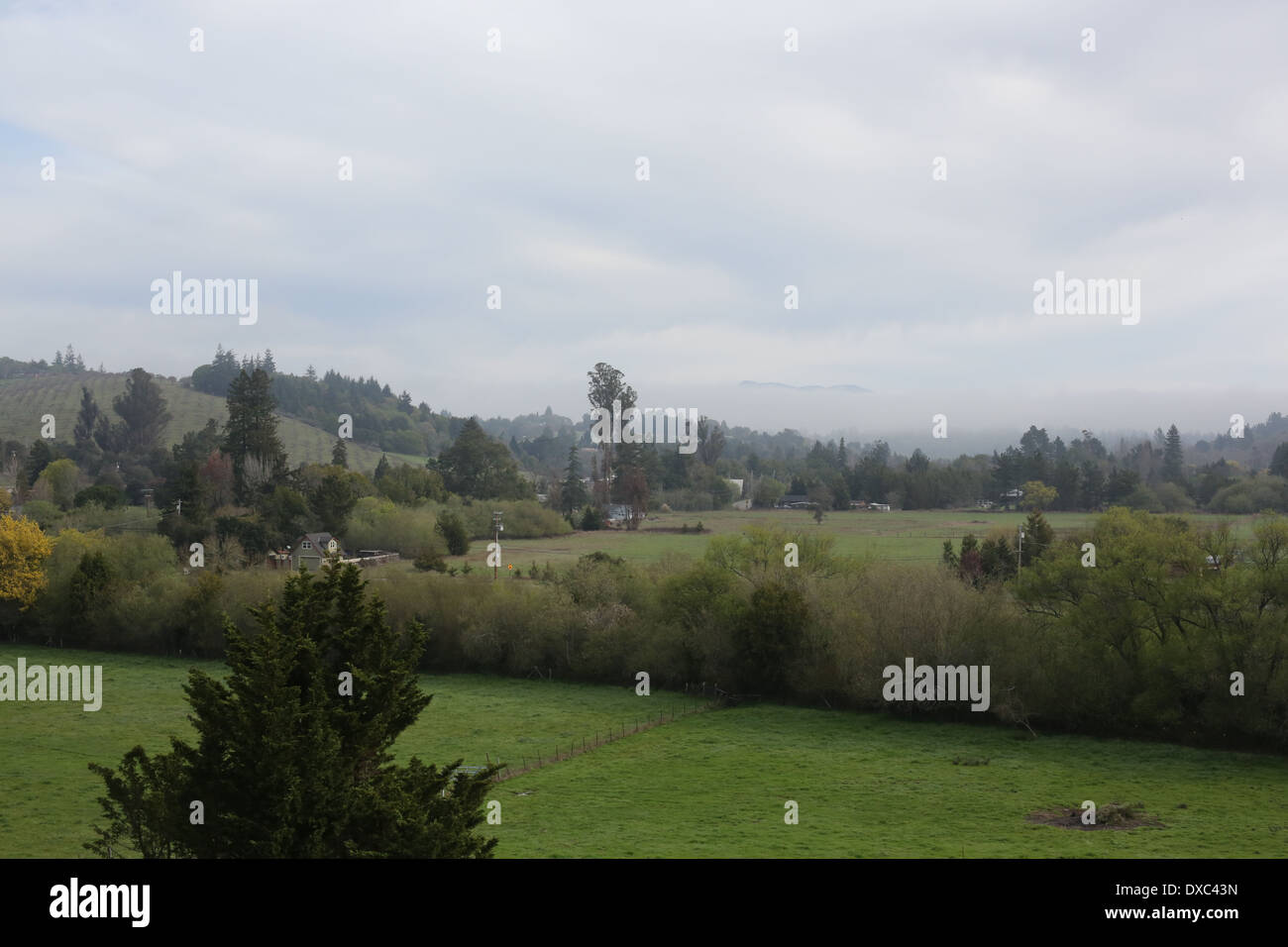 Ein Blick in Richtung Mount St. Helena aus Sebastopol, Kalifornien. Stockfoto