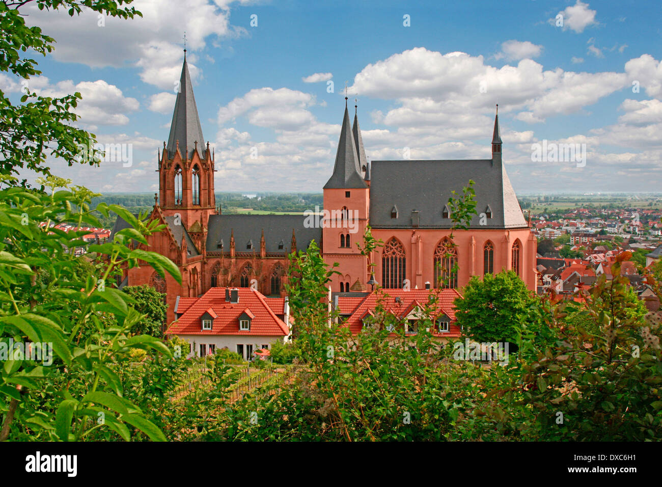 St. Katharinen, Oppenheim Stockfoto