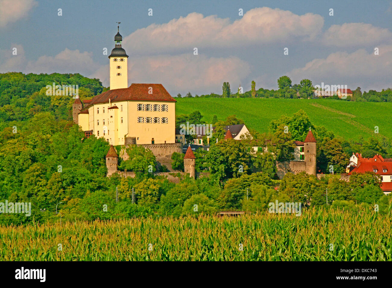 Schloss Horneck, Gundelsheim Stockfoto