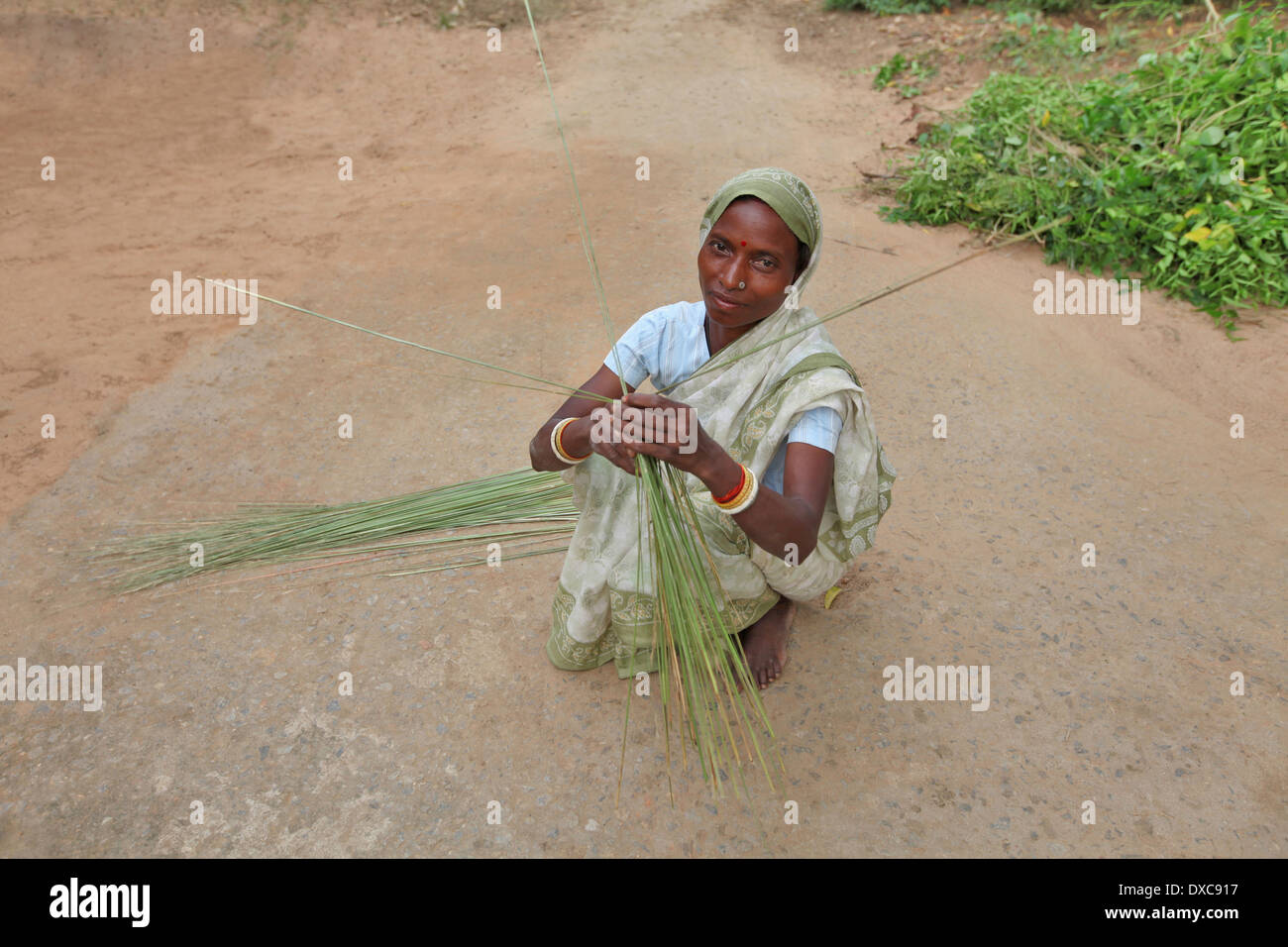Indianerin machen einen Besen. Oraon Stamm. Hardhekitand Dorf, Dist Bokaro, Jharkhand, Indien Stockfoto