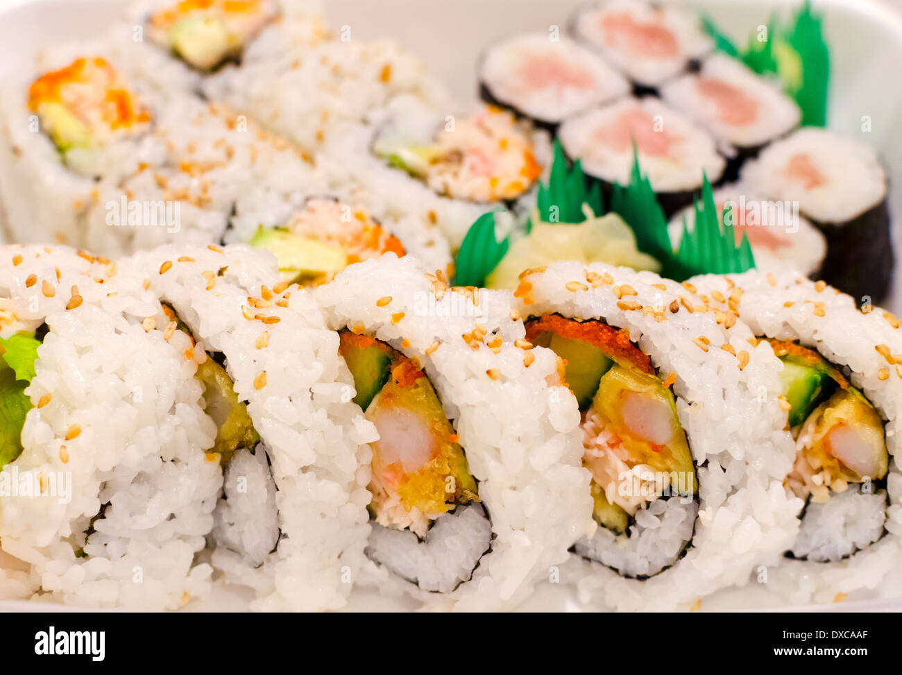 Herausnehmen oder Behälter mit frischem Sushi Rollen - Dynamit roll, Thunfisch-Roll und California Roll mitnehmen. Stockfoto