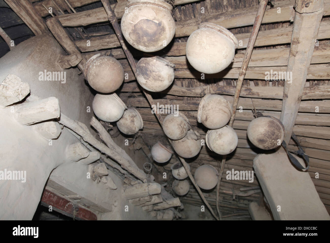 Schlammlöcher gehängt für Vögel als Nest in einem Haus. Lodha Kaste. Bhilwara Dorf, Bezirk Hazaribaug, Jharkhand, Indien Stockfoto