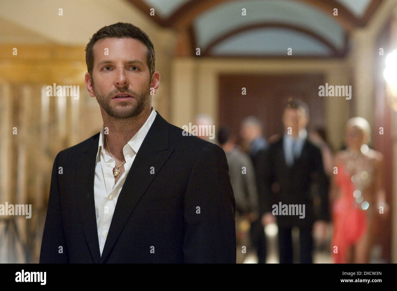 Silver Linings Playbook Stockfoto