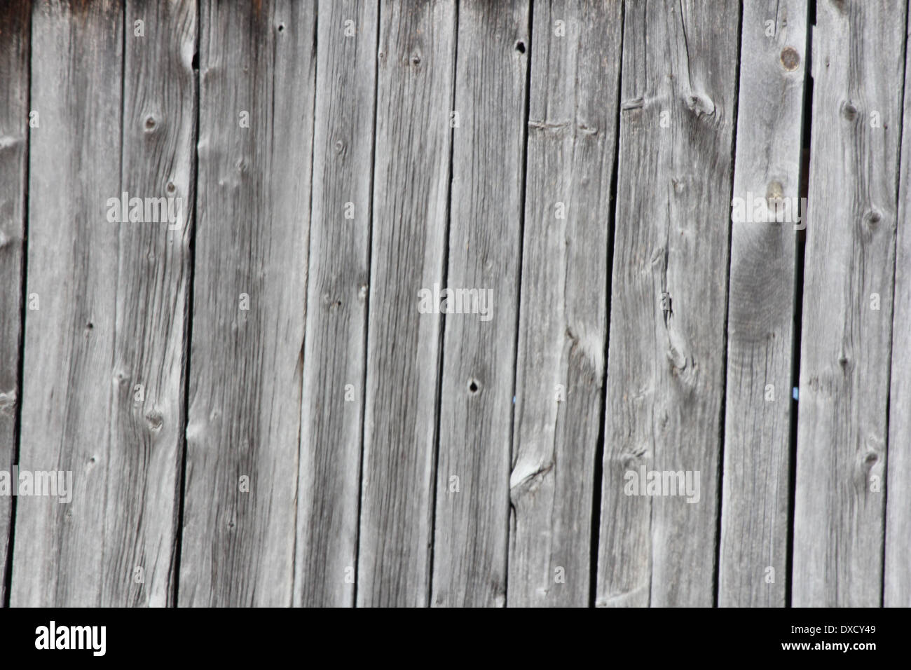 Verwitterte Scheune Bretter, verblasst und rissig, drehen grau mit zunehmendem Alter Scheune noch angebracht. Stockfoto