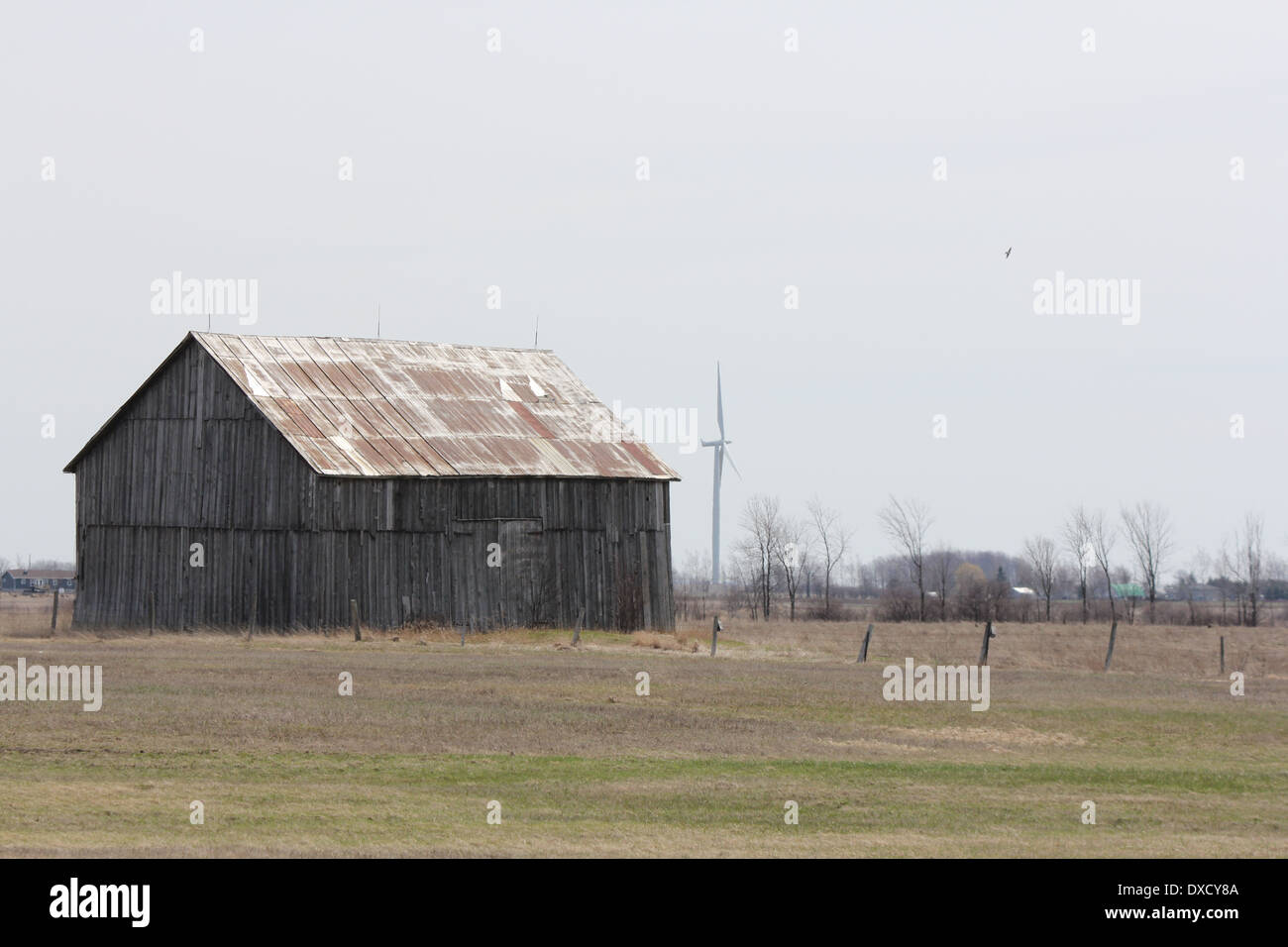 Alte verlassene, Scheune, in einem Feld von gut umsorgt Gräser Stockfoto