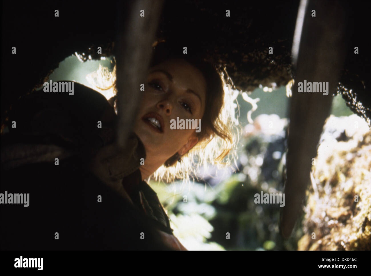 The Lost World: Jurassic Park Stockfoto