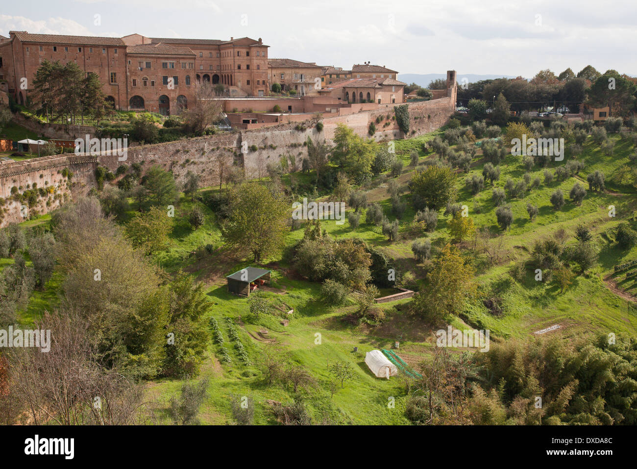 Blick auf die Stadtmauern von Siena, Toskana, Italien zu den grünen Hügeln der Landschaft. Stockfoto