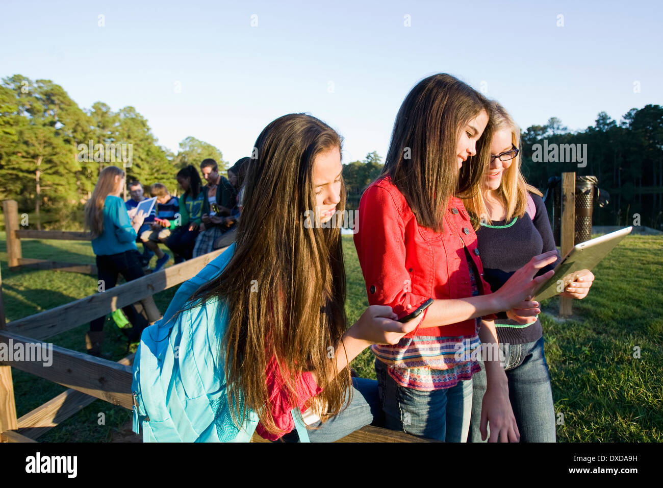 Gruppe von Pre-Teens sitzen auf Zaun, Blick auf Tablet-PCs und Handys, im Freien, Florida, USA Stockfoto