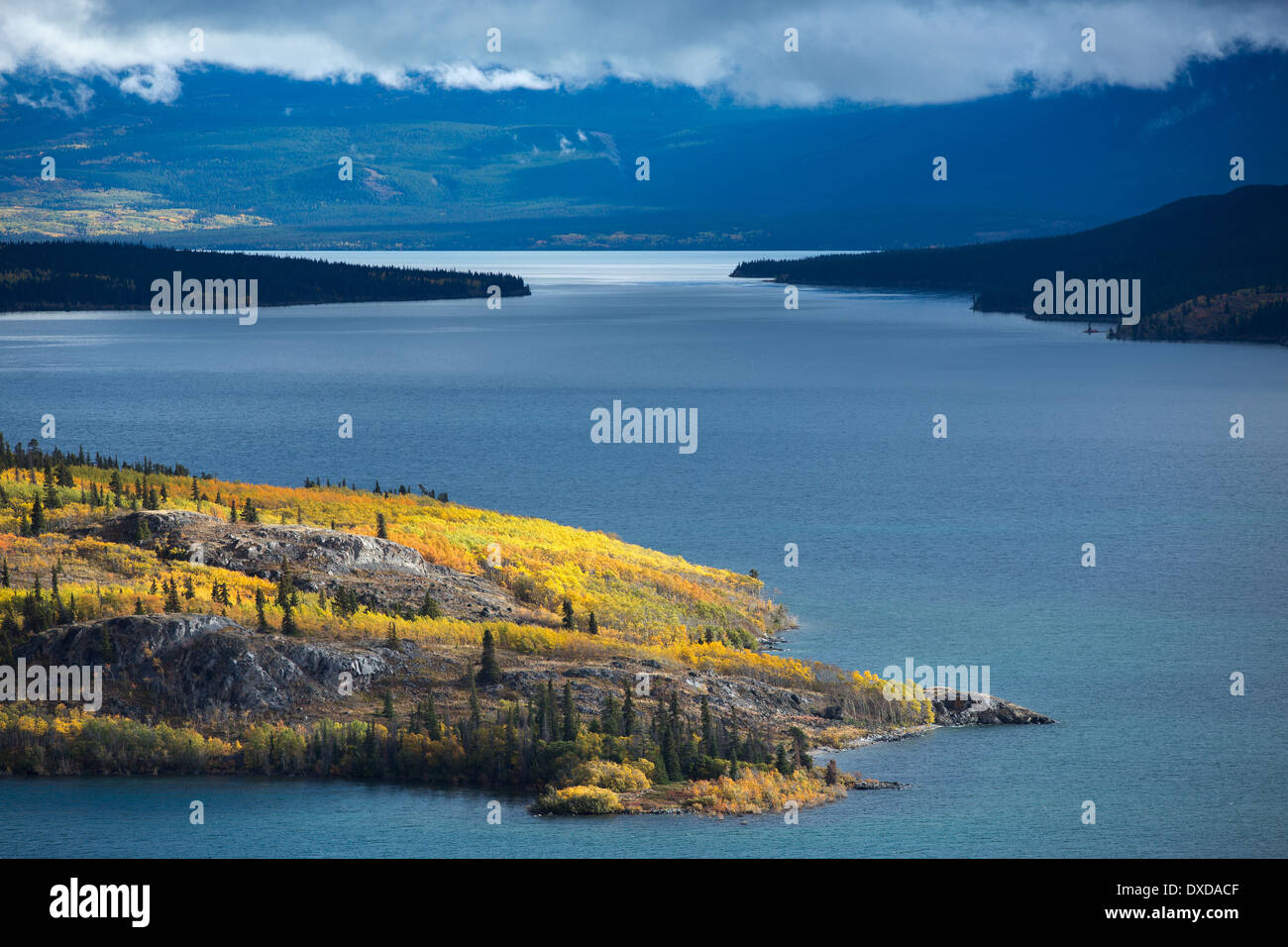 Bove Island, Tagish Lake, Yukon Territorien, Kanada Stockfoto