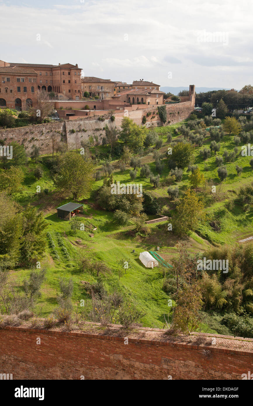 Blick über die Stadtmauern von Siena, Toskana, Italien zu den grünen Hügeln und Olivenhainen der toskanischen Landschaft. Stockfoto