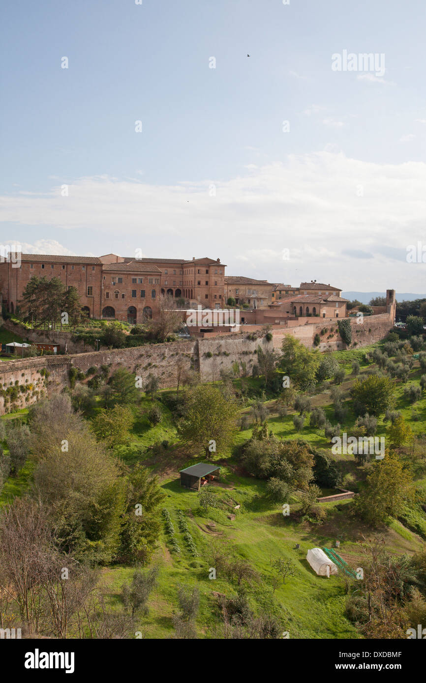 Blick auf die Stadtmauern von Siena, Toskana, Italien zu den grünen Hängen der Landschaft. Stockfoto