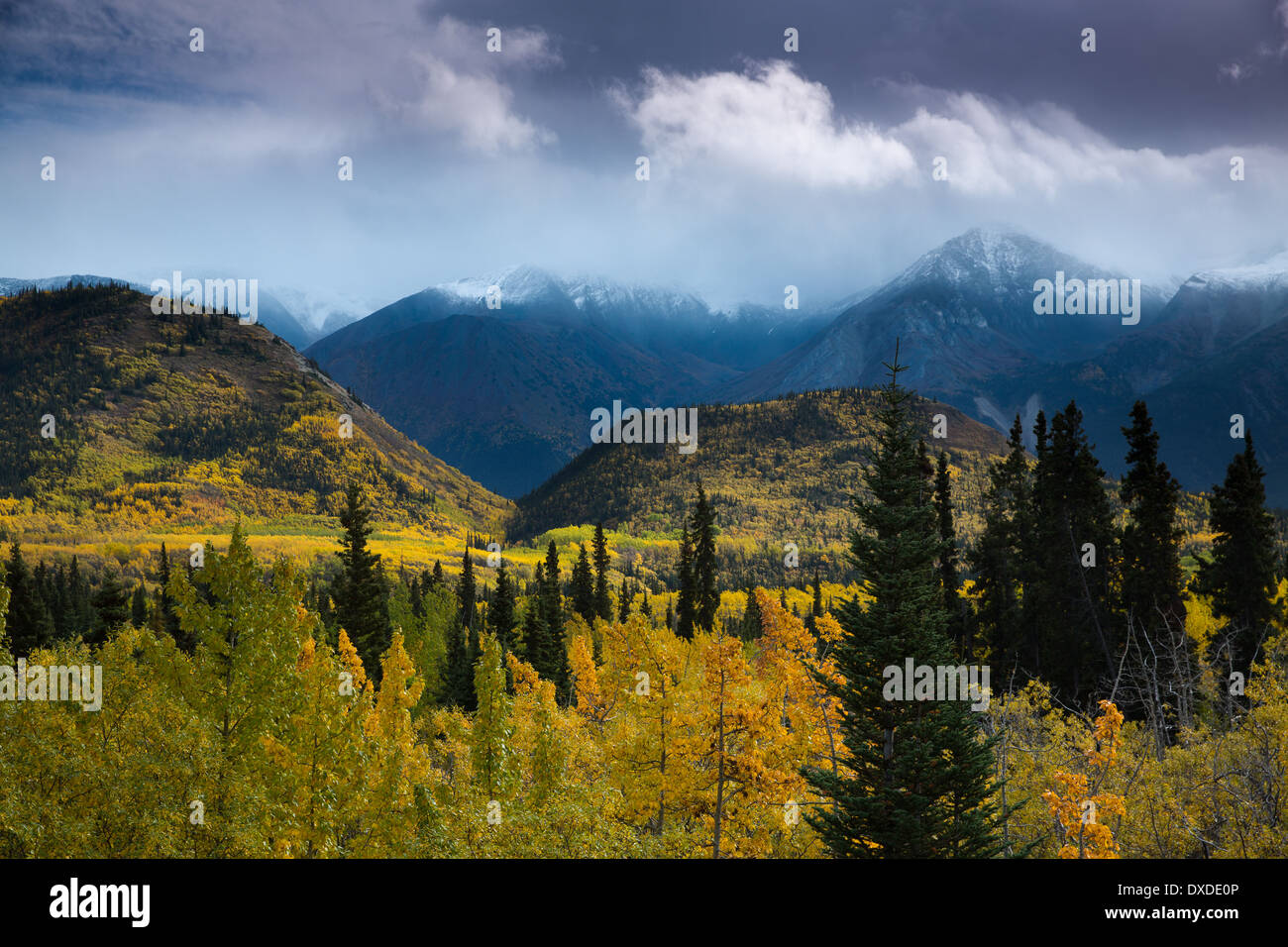 Herbstfärbung und Young Peak, British Columbia, Kanada Stockfoto