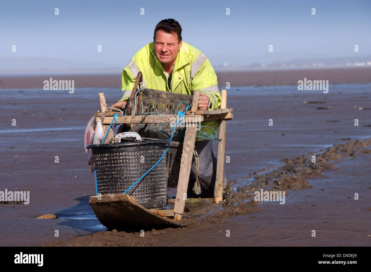 Mudhorse Fischer, Adrian selleck auf dem Wattenmeer bucht Bridgwater, Somerset Stockfoto