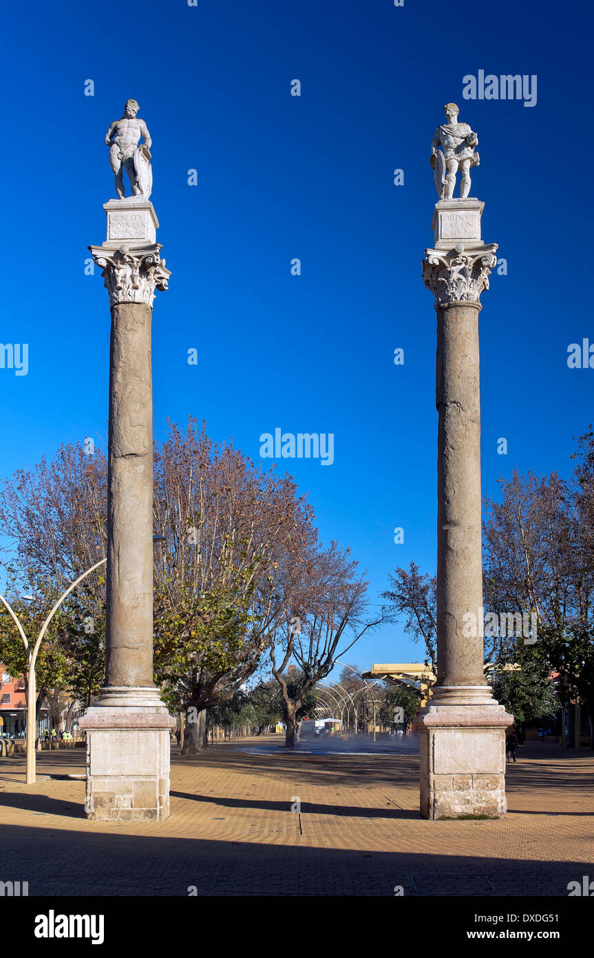 Römische Säulen, Alameda de Hercules Promenade, Sevilla, Region Andalusien, Spanien, Europa Stockfoto