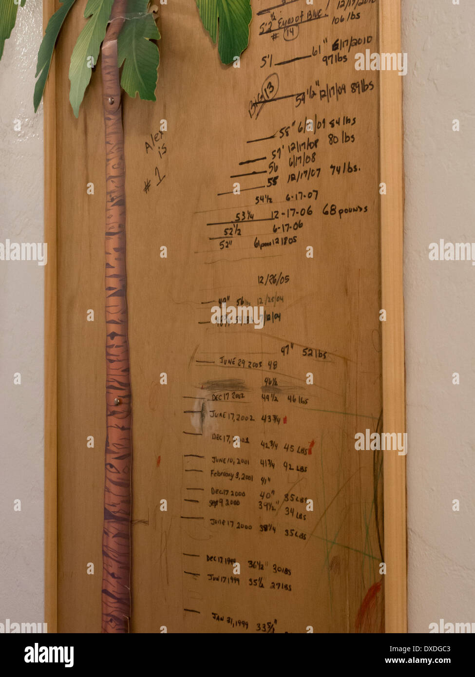 Des Kindes Flur Panel Wachstum Diagramm, Wohnhaus, Florida, USA Stockfoto