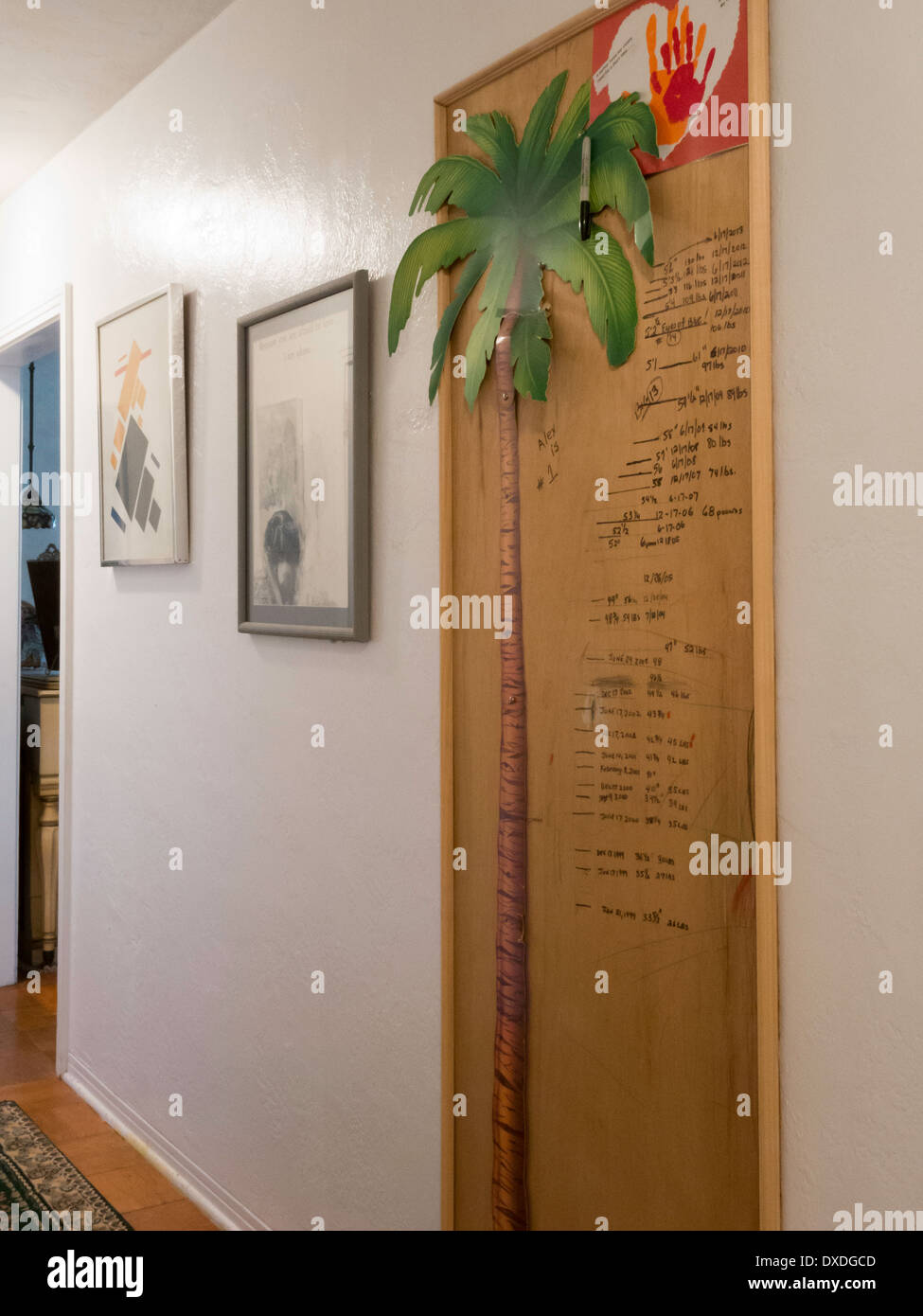 Des Kindes Flur Panel Wachstum Diagramm, Wohnhaus, Florida, USA Stockfoto