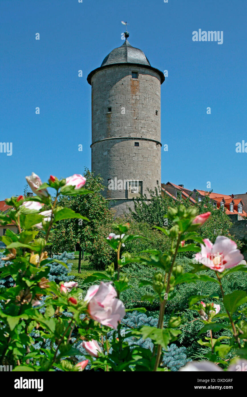 Kere Turm, Eibelstadt Stockfoto