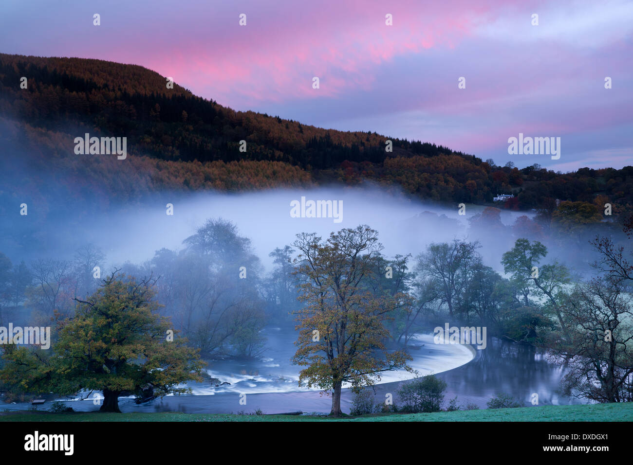 Herbstfärbung und Nebel im Tal Dee (Dyffryn Dyfrdwy) am Horseshoe Falls in der Nähe von Llangollen, Denbighshire, Wales Stockfoto