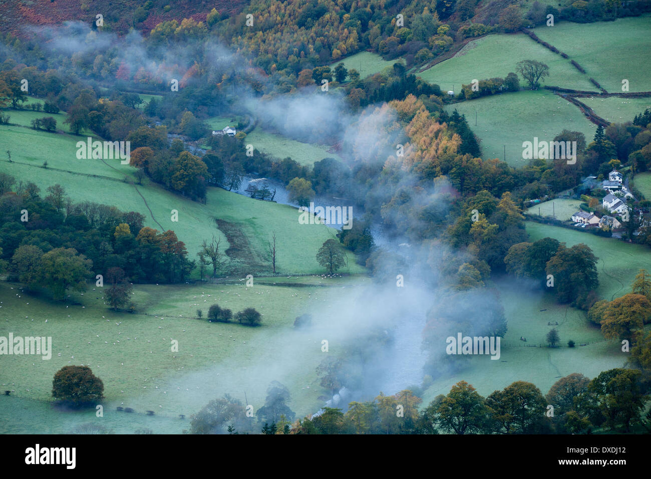 Herbstfärbung und Nebel im Tal Dee (Dyffryn Dyfrdwy) in der Nähe von Llangollen, Denbighshire, Wales Stockfoto